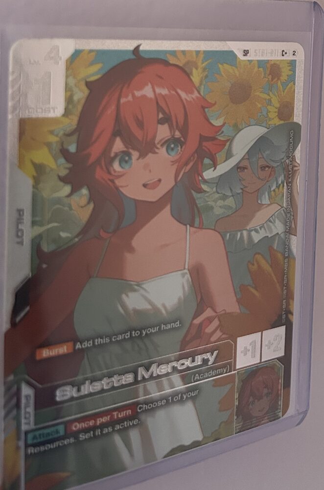 Gundam pilot card order fulfilled